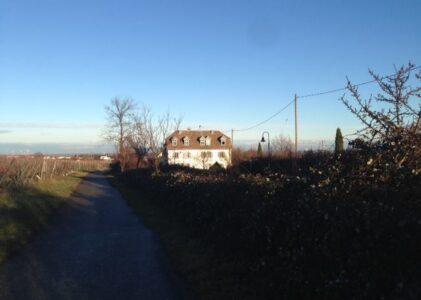 Stipendium im Weinland